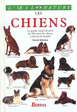 Les chiens