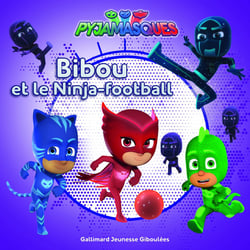Bibou et le ninja-football