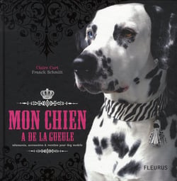 Mon chien a de la gueule