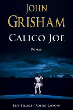 Calico Joe