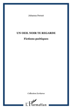 Un oeil noir te regarde - fictions poétiques