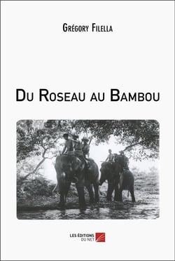 Du roseau au bambou
