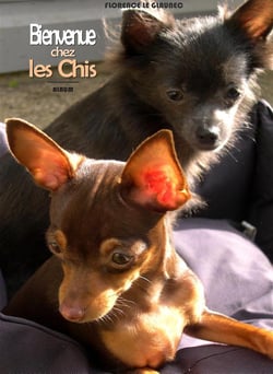 Caboteenage t.1 : bienvenue chez les chis - Jana et Joy