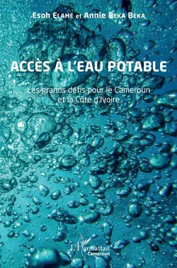 Accès à l'eau potable : les grands défis pour le Cameroun et la Côte d'Ivoire