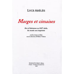 Marges et cimaises - art et litterature au xixe siecle, du musee aux imprimes
