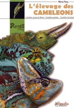 L'élevage des caméléons - caméléon casqué du Yémen, caméléon de Jackson, caméléon panthère