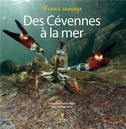 Des cévennes à la mer