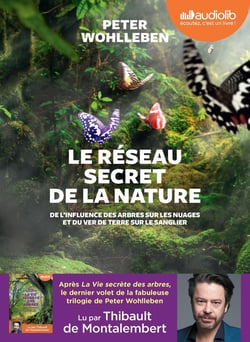 Le réseau secret de la nature - de l'influence des arbres sur les nuages et du ver de terre sur le sanglier