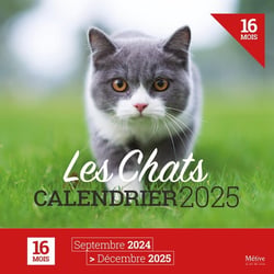 Les chats : Calendrier (édition 2025)