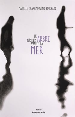 Le dernier arbre avant la mer