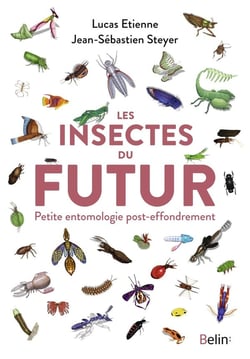 Les insectes du futur : Petite entomologie post-effondrement