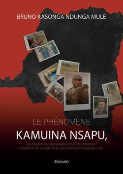 Le phenomene kamuina nsapu, une rebellion ou manipulations d un etat terroriste ? - un pretexte de j