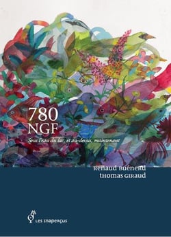 780 ngf : sous l'eau du lac, et au dessus, maintenant