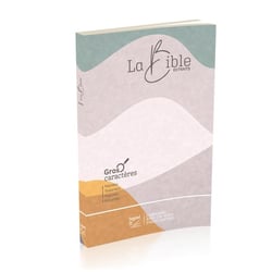 Nouveau Testament Psaumes Proverbes Segond 21 gros caratères : illustré broché