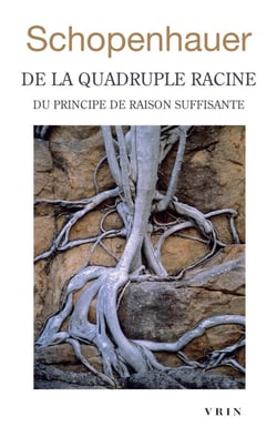 De la quadruple racine : du principe de raison suffisante