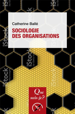 Sociologie des organisations