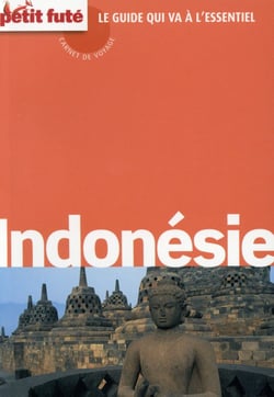 Carnet Petit Fute Indonesie 2015