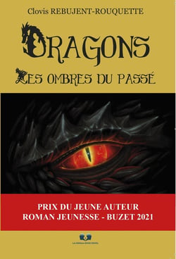 Dragons: les ombres du passé
