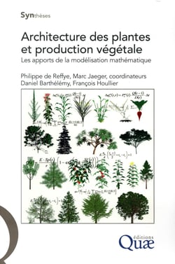 Architecture des plantes et production végétale - les apports de la modélisation mathématique