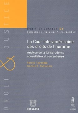 La cour interaméricaine des droits de l'homme - analyse de la jurisprudence consultative et contentieuse