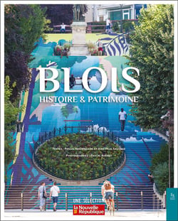 Blois : histoire et patrimoine