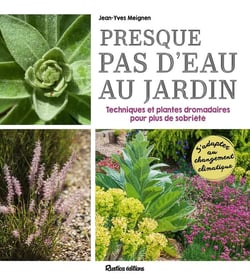 Presque pas d'eau au jardin : techniques et plantes dromadaires pour plus de sobriété