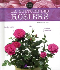 La culture des rosiers
