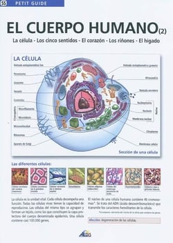 El cuerpo humano t.2