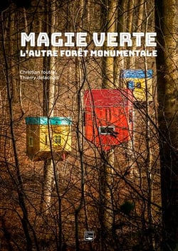 Magie verte : une autre vision de la forêt