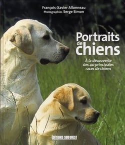 Chiens