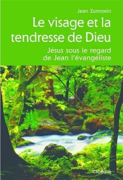Le visage et la tendresse de dieu - Jésus sous le regard de Jean l'évangéliste