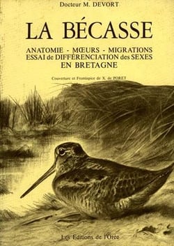 La becasse