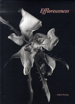 Efflorescences