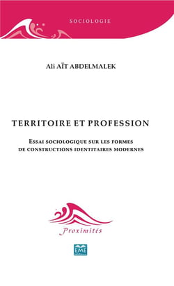 Territoire et profession - essai sociologique sur les formes de constructions identitaires modernes