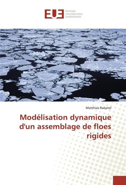Modelisation dynamique d'un assemblage de floes rigides