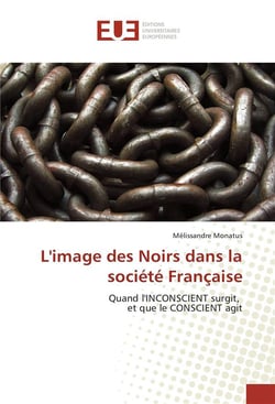 L'image des noirs dans la societe francaise
