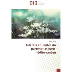 Interets et limites du partenariat euro-mediterraneen