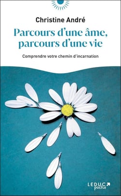 Parcours d'une âme, parcours d'une vie : comprendre votre chemin d'incarnation