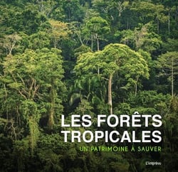 Les forêts tropicales.- un patrimoine à sauver