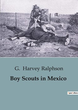 Boy Scouts in Mexico : Adventures and Mysteries with the Boy Scouts in Mexico