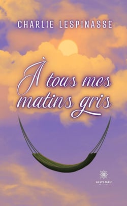 À tous mes matins gris