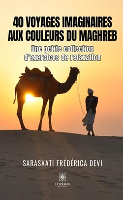 40 voyages imaginaires aux couleurs du Maghreb