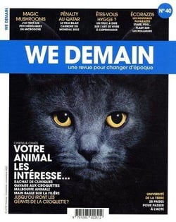We Demain n.40 : magic mushrooms, pénalty au Qatar, êtes-vous hygge ? écorazzis