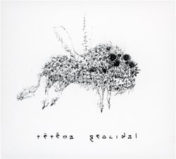 Geocidal