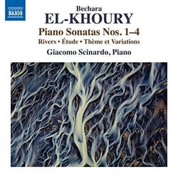 Piano sonatas nos. 1-4