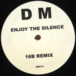 Enjoy The Silence