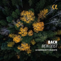 Mein Geist