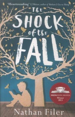 The shock of the fall