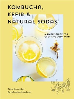 Kombucha, kefir & natural sodas: a simple guide to creating your own /anglais