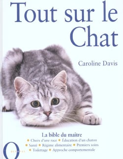 Tout sur le chat